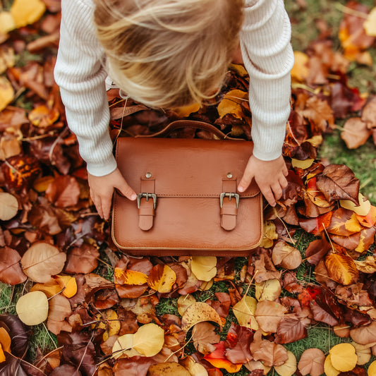 Sawyer Mini Leather Satchel