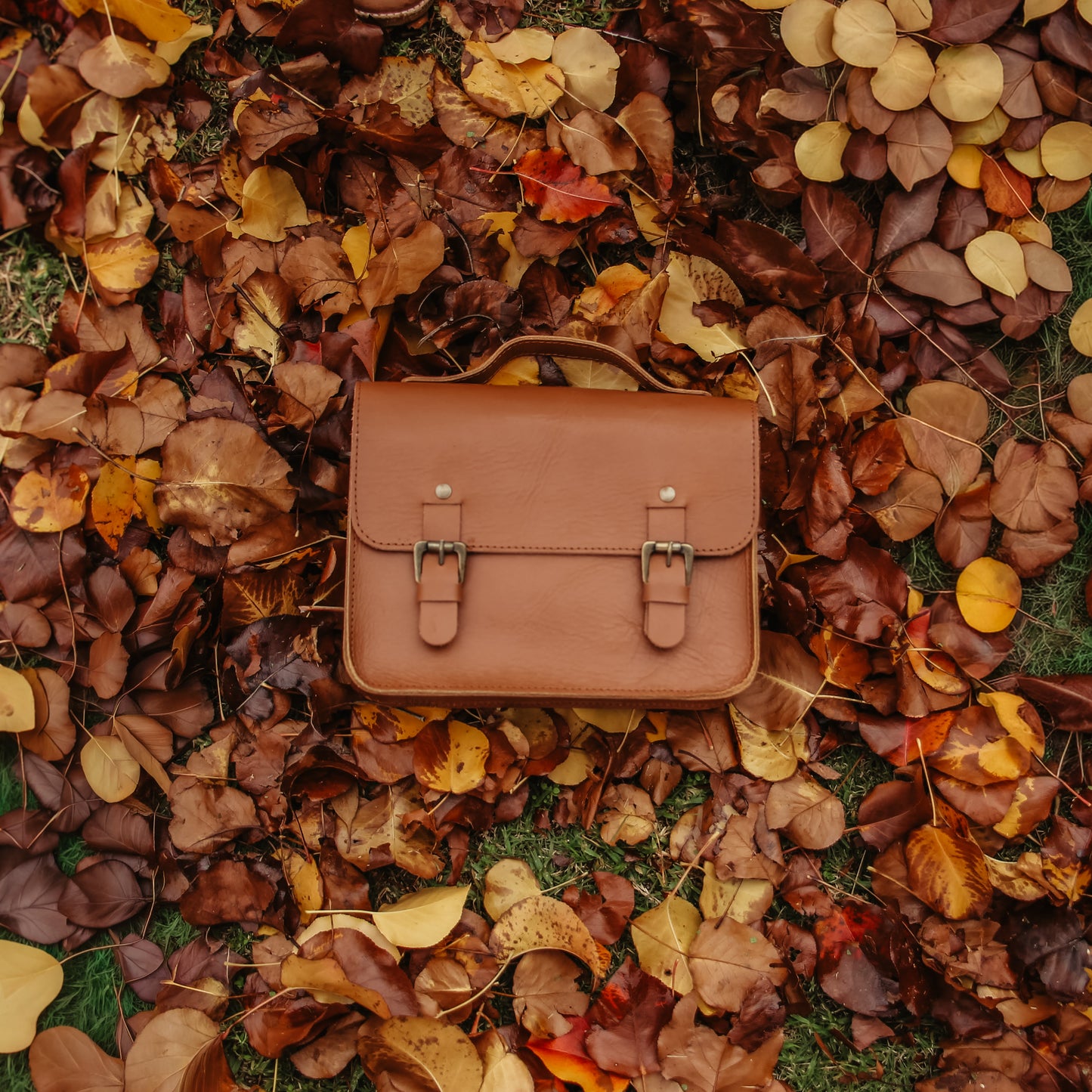 Sawyer Mini Leather Satchel
