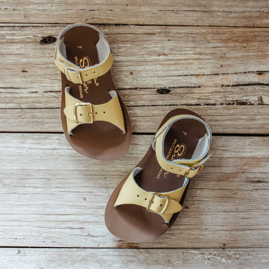 Pair of brown and gold sandals on a wooden surface